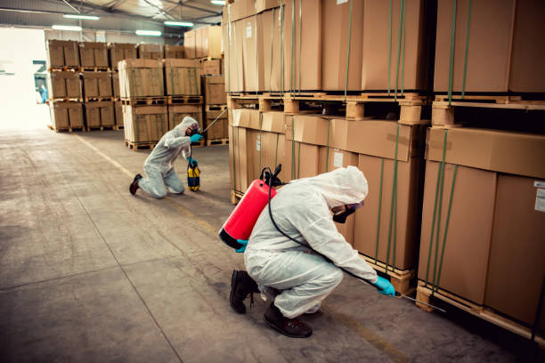Best Pest Control for Businesses  in Ashland, WI