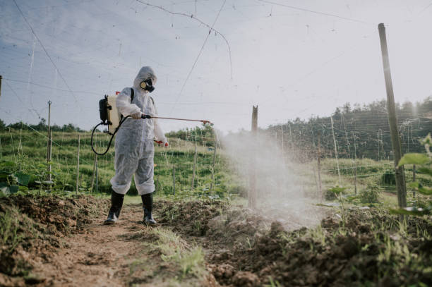 Reliable Ashland, WI Pest Control Solutions