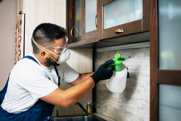 Best Flea Control Services  in Ashland, WI