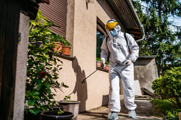 Best Wasp Removal Services  in Ashland, WI