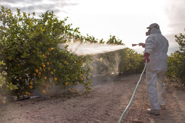 Best Ant Control Services  in Ashland, WI