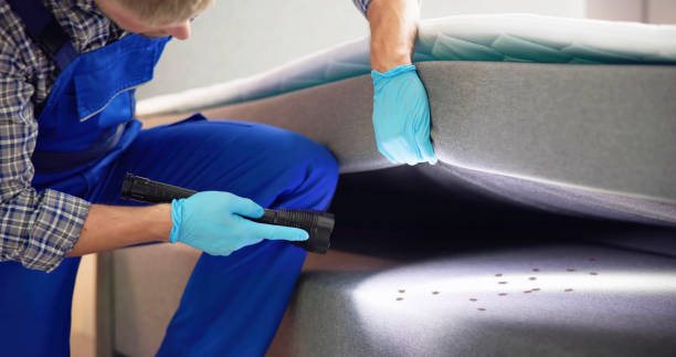 Best Termite Control Services  in Ashland, WI