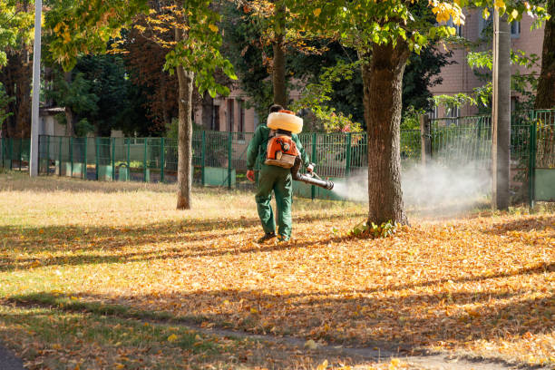 Best Best Pest Control Companies  in Ashland, WI