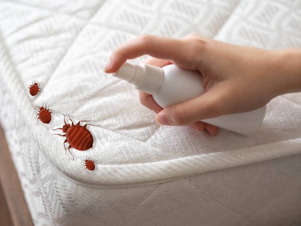 Best Commercial Pest Control Services  in Ashland, WI