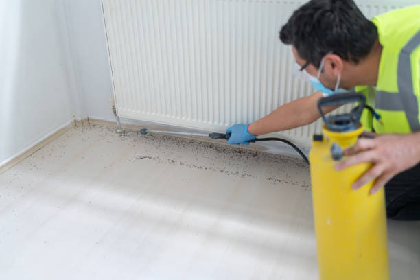 Best Pest Removal Services  in Ashland, WI