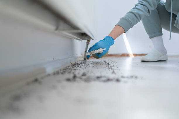 Best Emergency Pest Control  in Ashland, WI