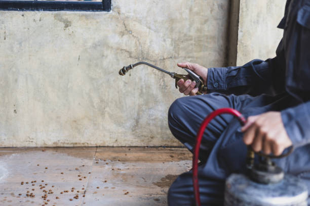 Flea Control Services in Ashland, WI